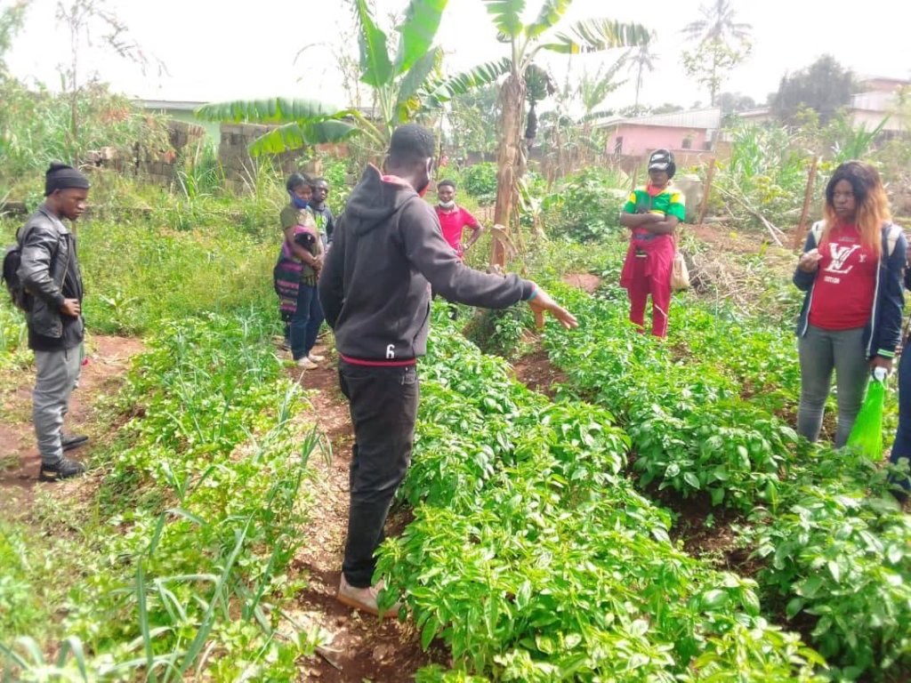 Young farmers inspecting a planted field