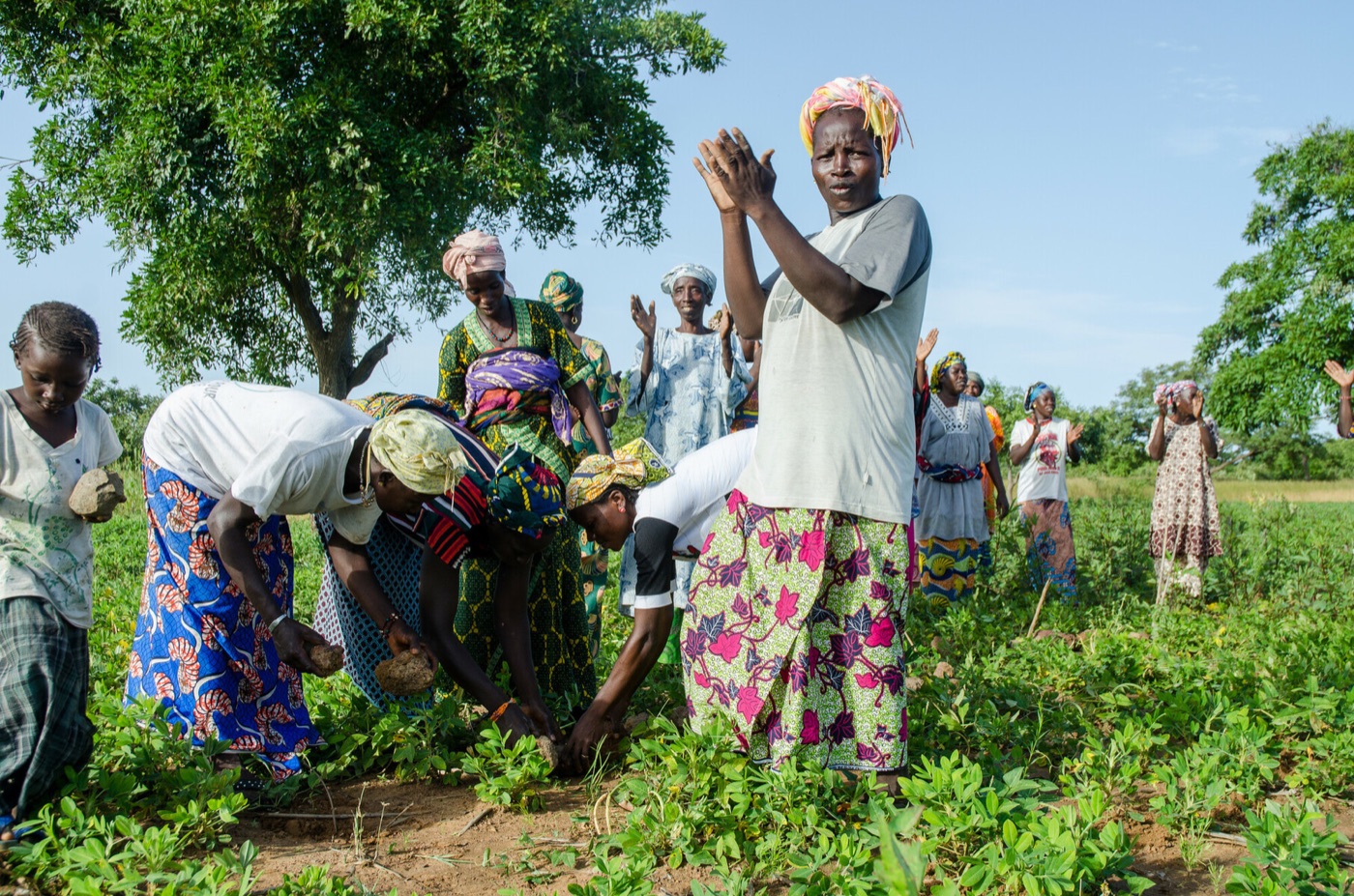Community members working farmland together